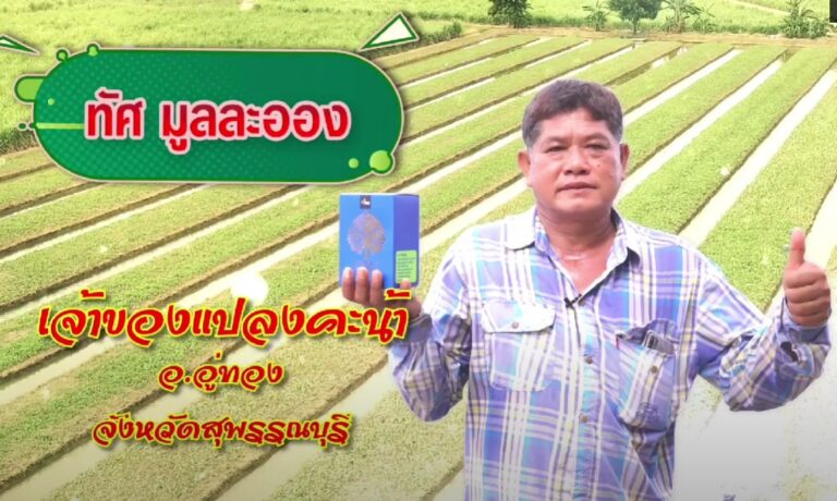 review-4tree-Chou-frisé-1