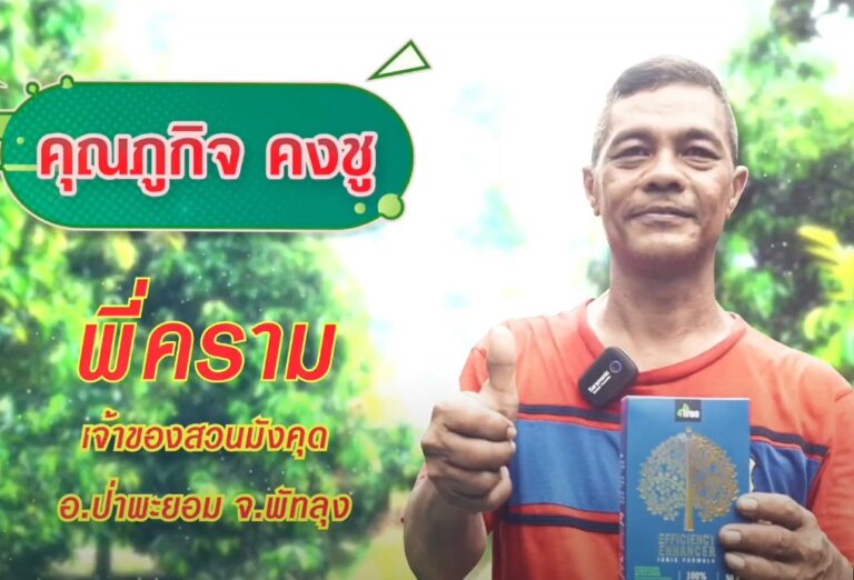 review-4tree-Mangosteen-1