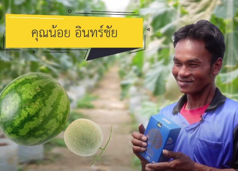 review-4tree-Melon-1