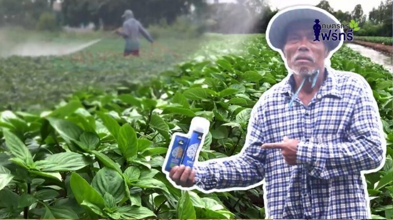 review-4tree-booster-basil-1