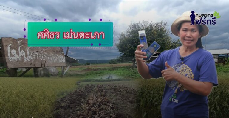 review-4tree-booster-cassava