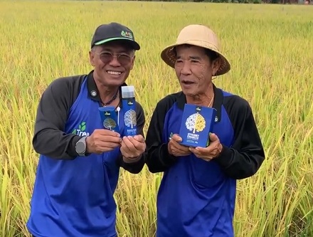 review-4tree-booster-rice-field-3