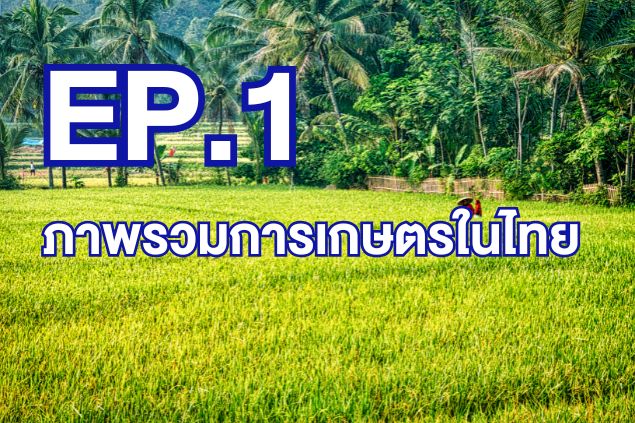 Ep.1- ภาพรวมการเกษตรในไทย