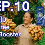 Ep.10- ทำไม 4Tree+Booster