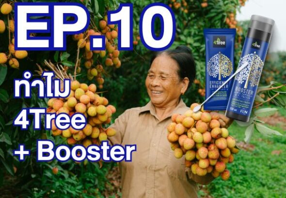 Ep.10- ทำไม 4Tree+Booster