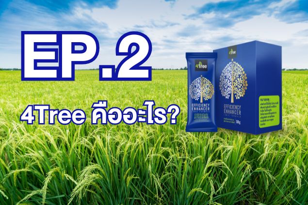 Ep.2 – 4Tree คืออะไร