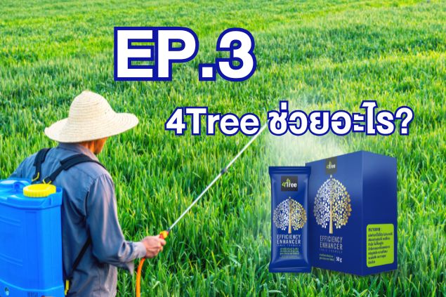Ep.3- 4Tree ช่วยอะไร