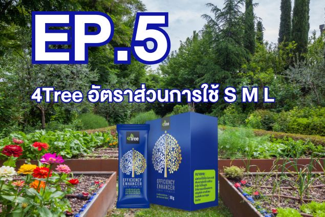 Ep.5- 4Tree อัตราส่วนการใช้ S M L