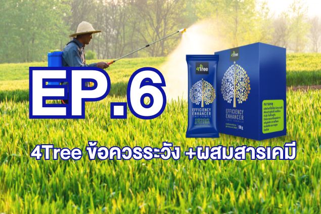 Ep.6- 4Tree ข้อควรระวัง +ผสมสารเคมี