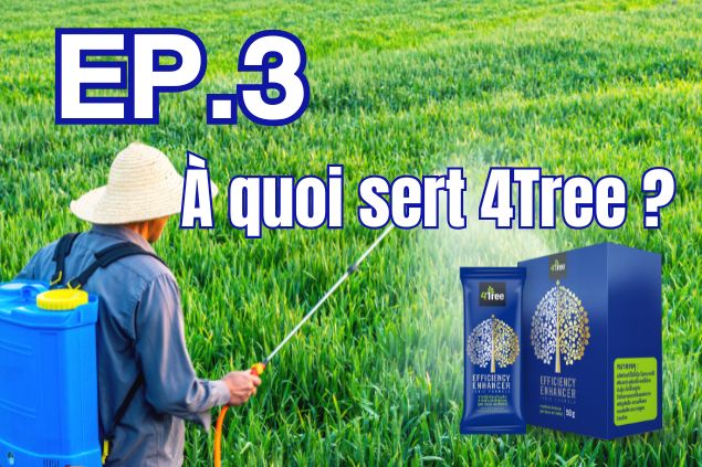 À quoi sert 4Tree