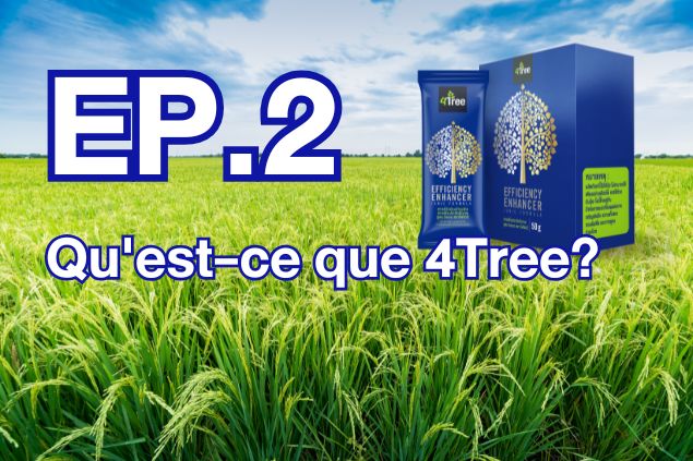 Qu’est-ce que 4Tree