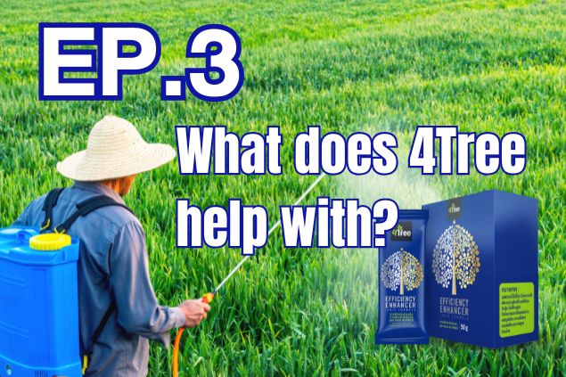 What does 4Tree help with