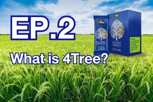 What is 4Tree