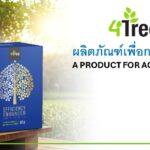 ปกสไลด์-4tree