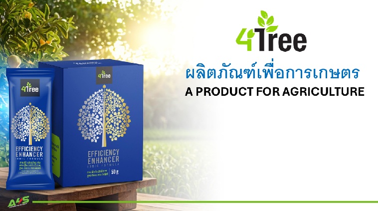 ปกสไลด์-4tree